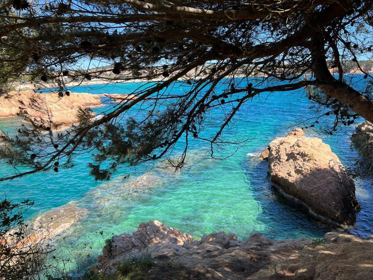 Family Homefromhomees Sant Feliu de Guíxols Ngoại thất bức ảnh